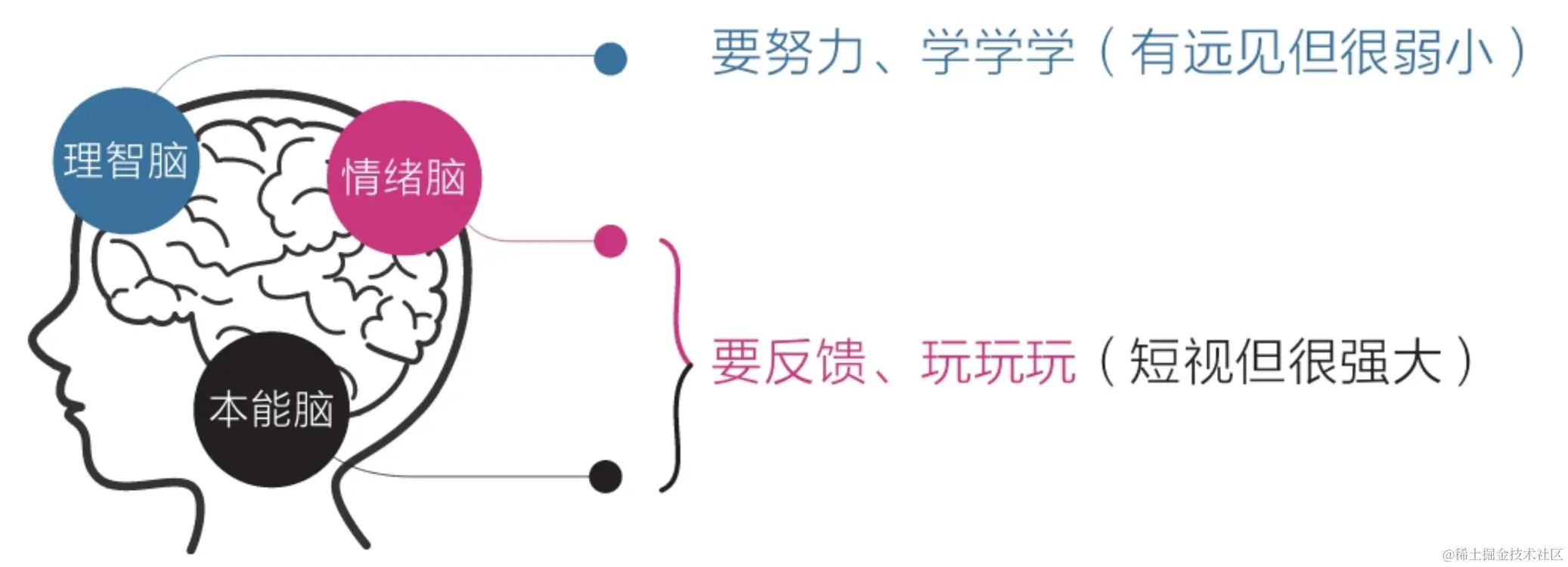 图片来自《认知觉醒》原书