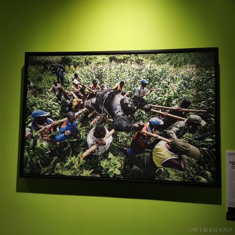 阿奎咯于2023-04-14 22:46发布的图片