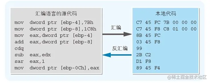 image-20230313083128432