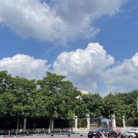 闲坐含香咀翠于2023-06-08 19:32发布的图片