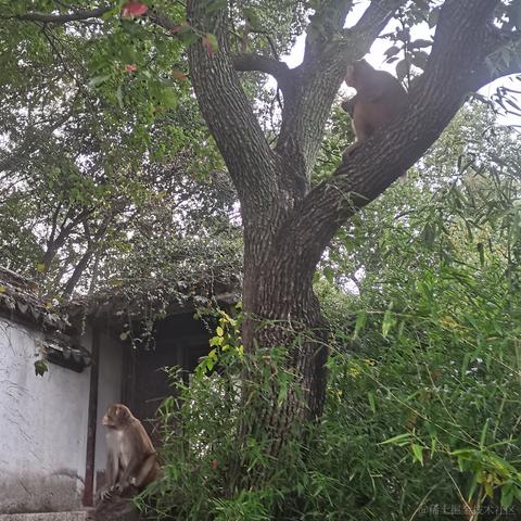 user8167616976815于2022-11-18 13:25发布的图片