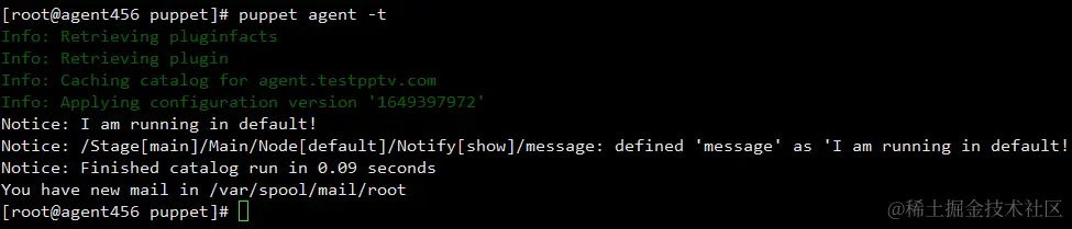 image-20220408142517039