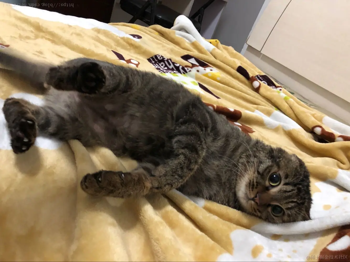 这里写图片描述