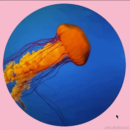 An animated gif showing a cursor hovering over a circular image. The shape of the image morphs to a sort of star-like shape when the cursor enters the image, then returns when the cursor leaves.