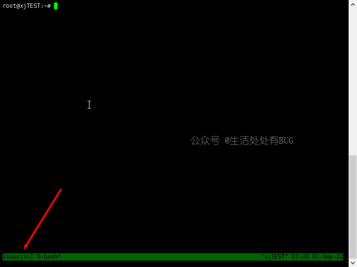 Tmux-demo-image (2)