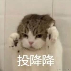 然的go于2022-11-22 23:08发布的图片