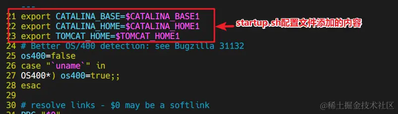 image-20220513165012836