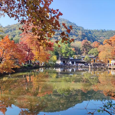 优秀稳妥的金枪小魔王于2023-11-22 11:24发布的图片