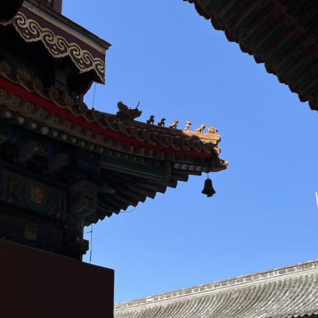 Estherxx于2023-04-17 15:22发布的图片