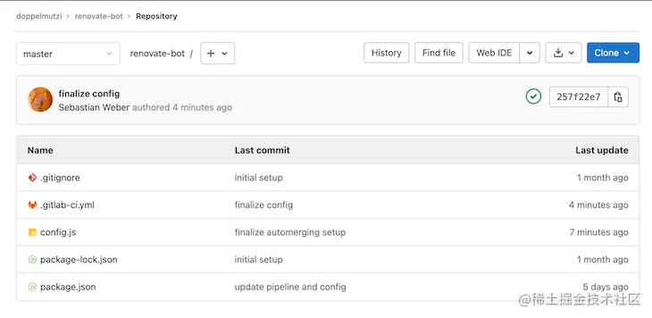Dashboard Of The Project Structure For The Renovate Bot