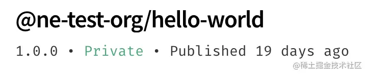 Screenshot of a private npm Teams package