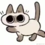 EverydayOneCat的个人资料头像