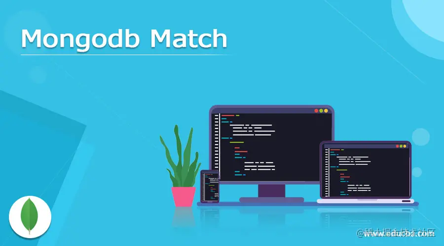 Mongodb Match