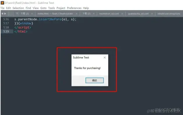 Sublime Text 4 最新教程分享（亲测有效）_程序员_03