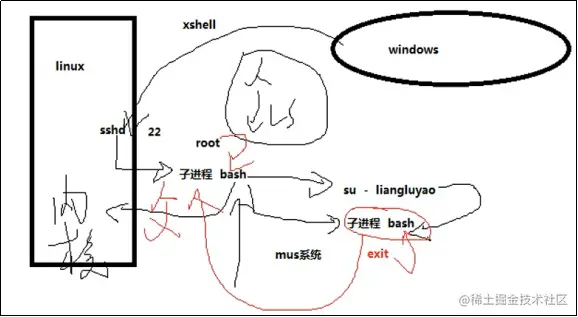 image-20220306141856984