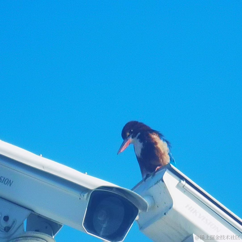 内推找我于2023-01-19 10:15发布的图片