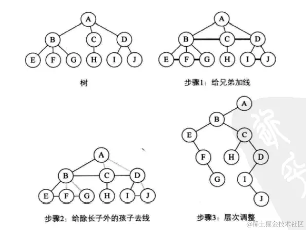 image-20211116143636407