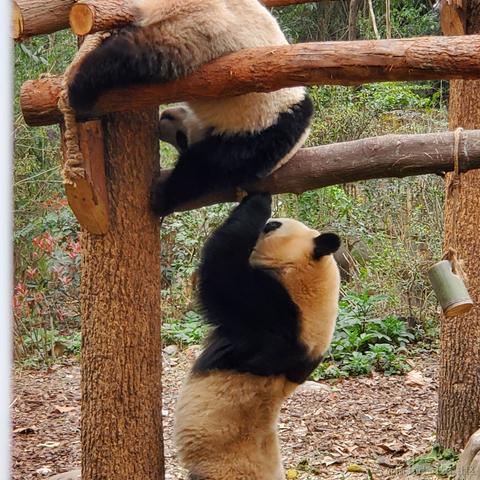 没有哆啦的A梦于2023-03-17 09:46发布的图片