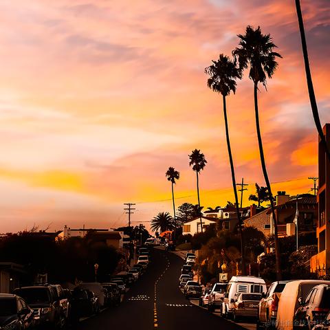 不挨揍的犊子于2023-08-22 10:55发布的图片