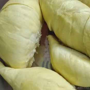 风的温度于2023-07-01 09:56发布的图片