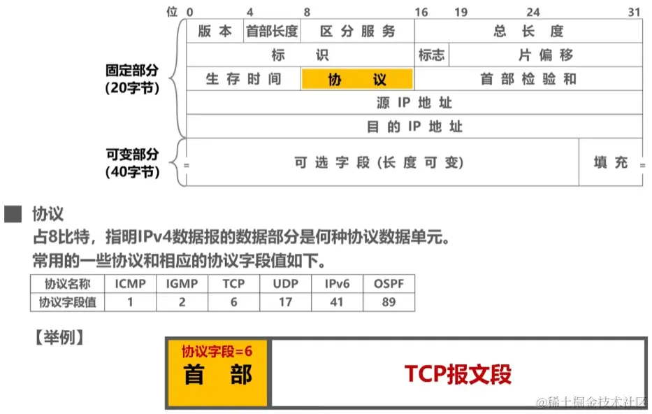 image-20230728045303021