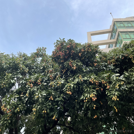 百年孤独html于2023-06-03 14:07发布的图片