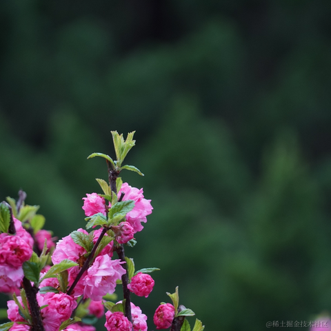 puppyyy于2023-03-16 07:46发布的图片