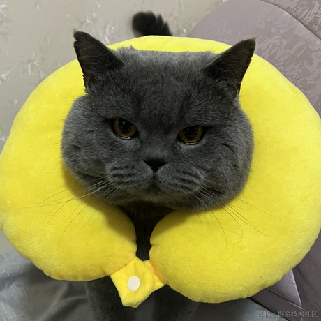 温水煮鸡蛋于2022-12-15 17:52发布的图片