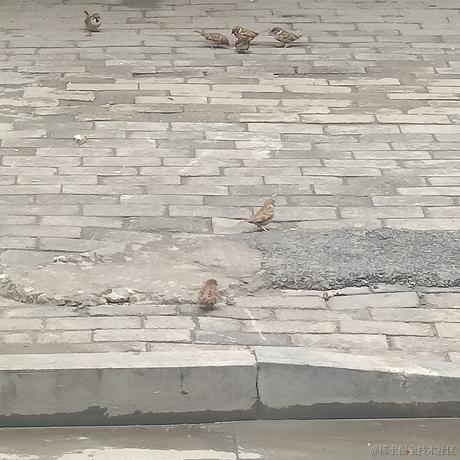 碗比于2022-12-05 16:37发布的图片