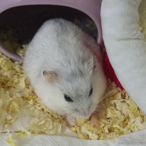 敲敲敲敲暴你脑袋于2023-11-11 13:52发布的图片