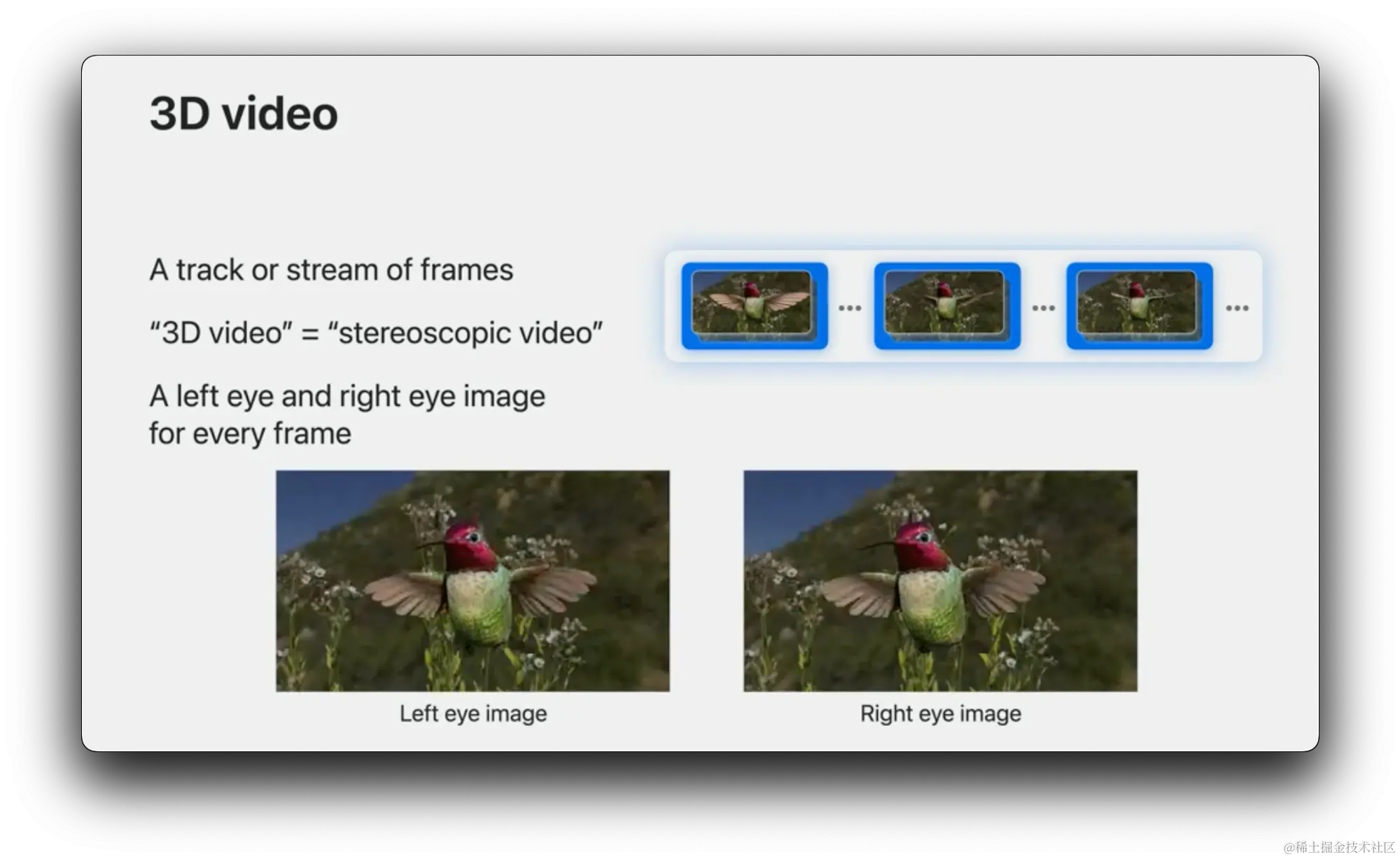 WWDC23 关于 3D 视频的介绍