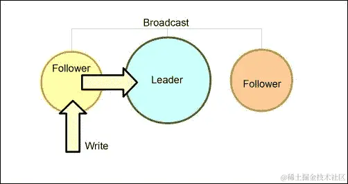 查看领导者-追随者模型