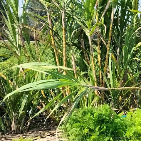 我想中奖于2023-01-25 12:01发布的图片