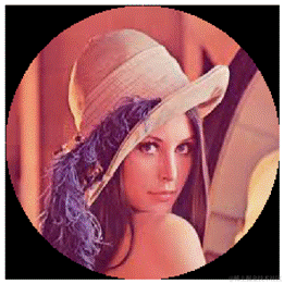 图像处理入门：如何处理不同类型的图像