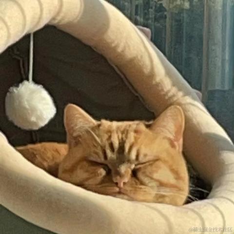 勇敢阿鱼于2023-01-04 13:45发布的图片