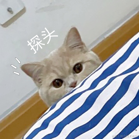 Yangyang于2022-01-11 16:10发布的图片