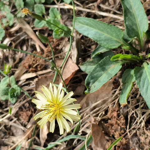 vincookies于2023-04-14 23:47发布的图片