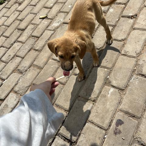 多酸多甜不加香菜于2023-07-17 08:56发布的图片