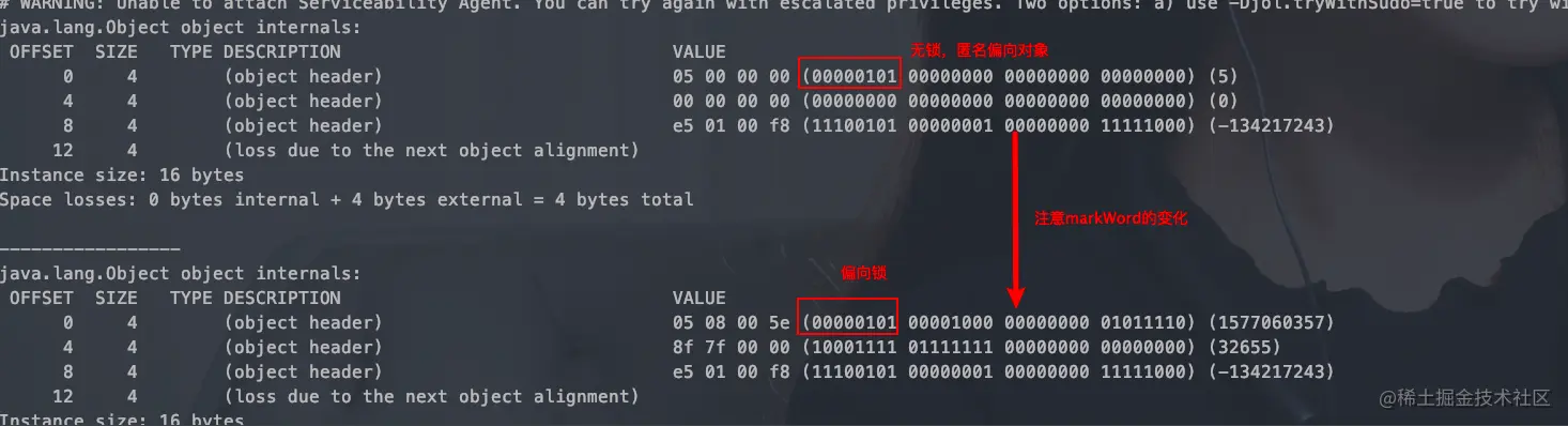 image-20200716003305913