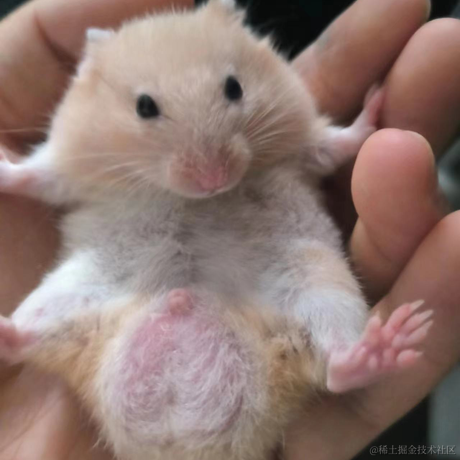 Orbit_Hard于2023-04-23 11:56发布的图片