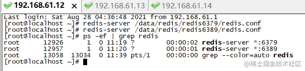 image-20210828234952429