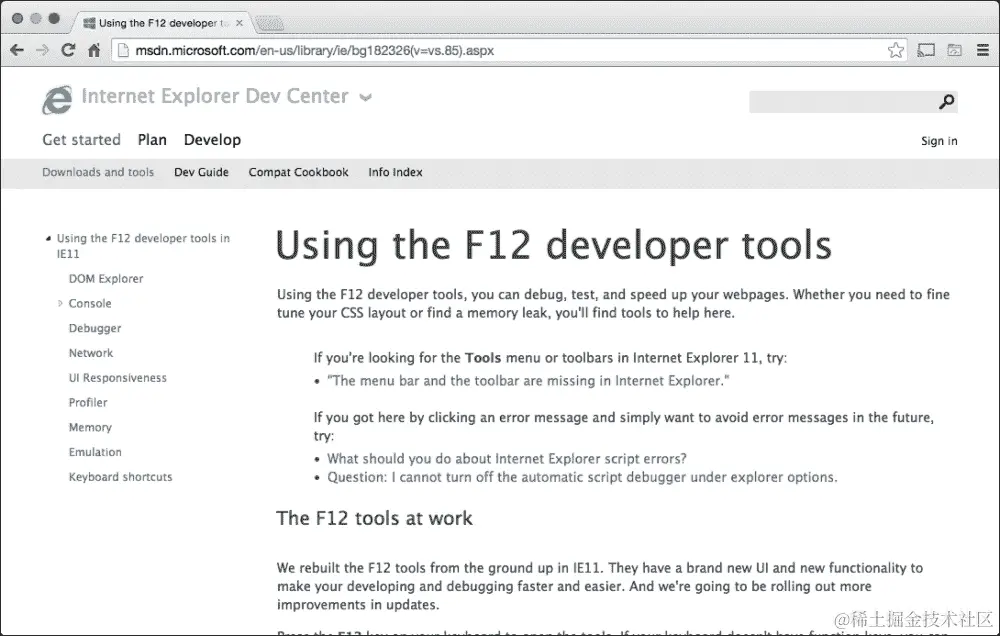 Internet Explorer 开发者工具