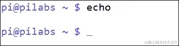 使用带有选项的 echo