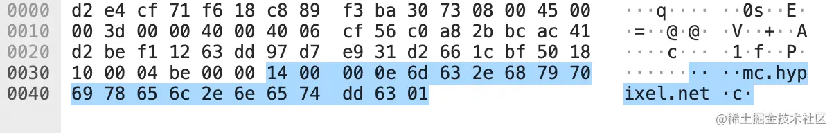 wireshark_handshake_packet