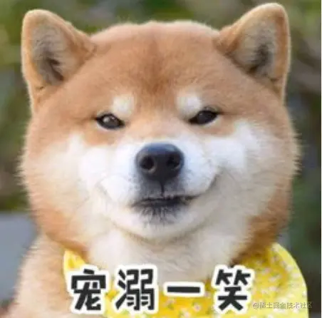 image-20230225224321396
