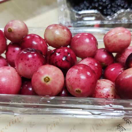 阿材于2022-03-18 22:32发布的图片