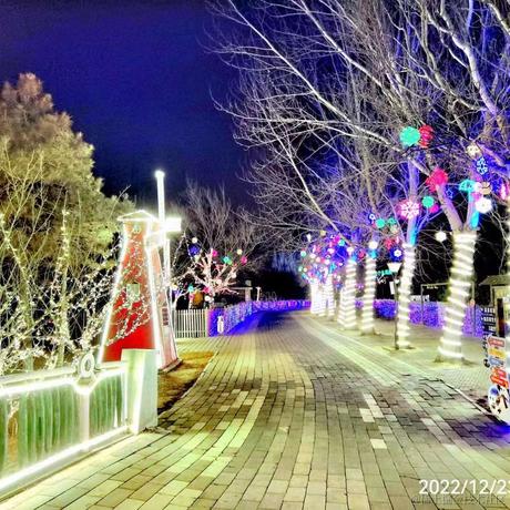 皮蛋粥肉周于2022-12-23 20:06发布的图片