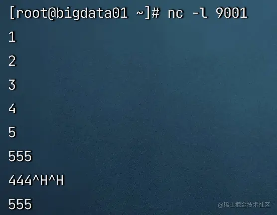 image-20230117220518992
