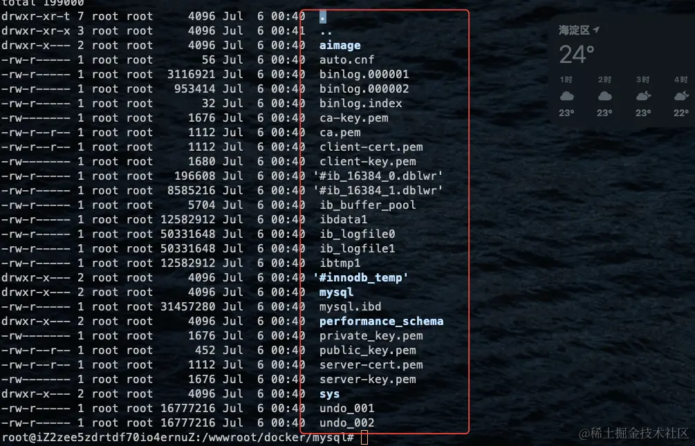 image-20240706004215634