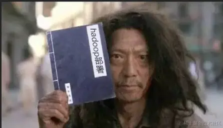 hadoop bs.png
